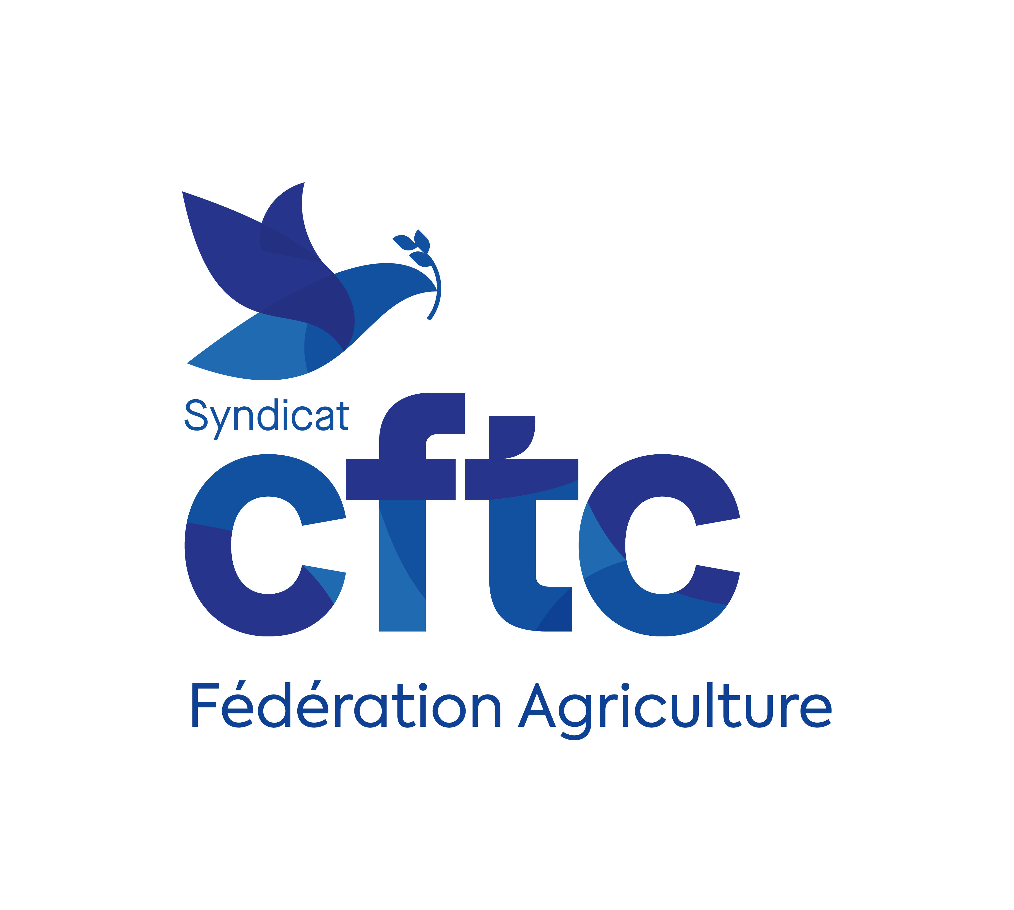logo CFTC