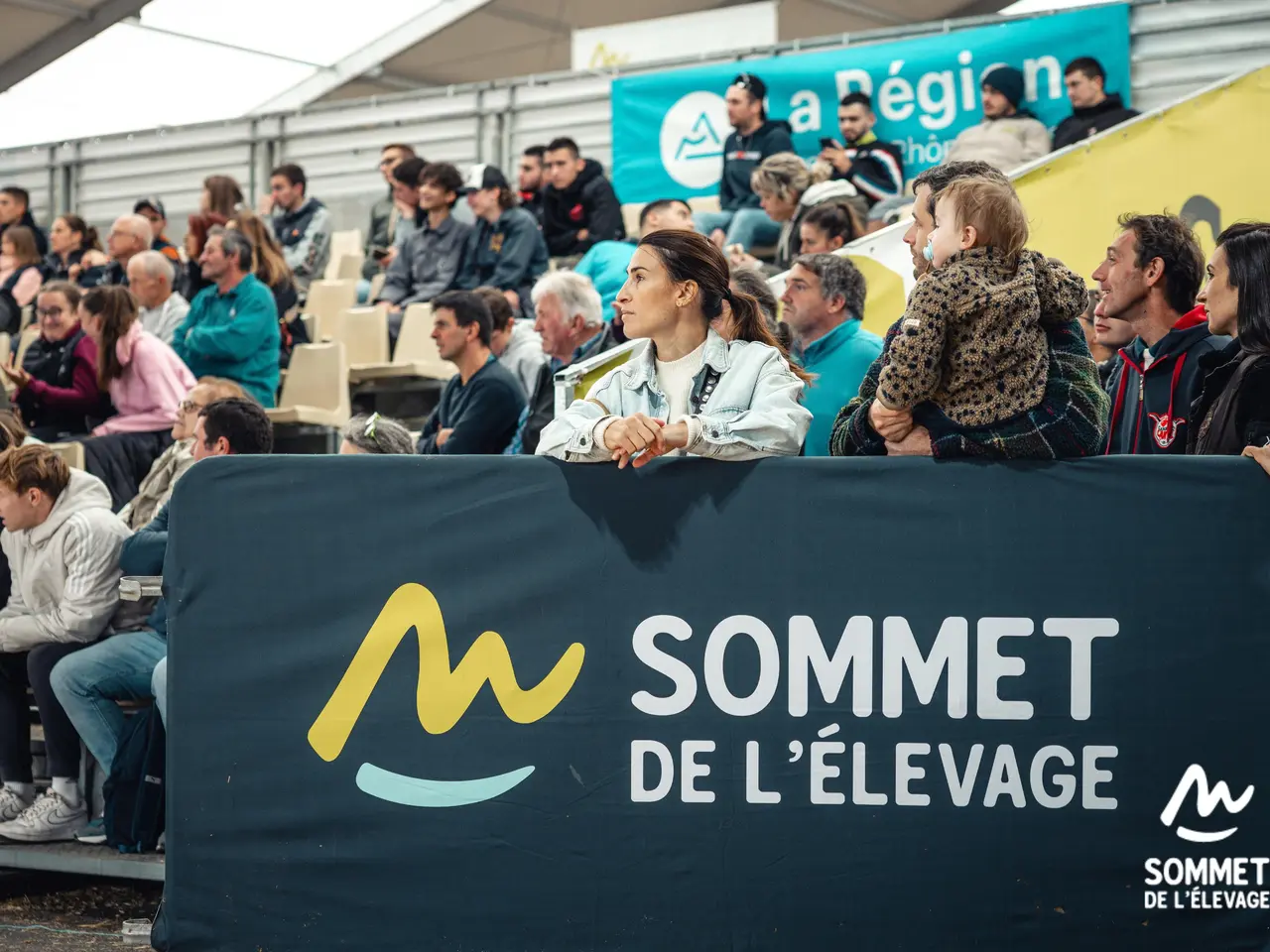 sommet elevage
