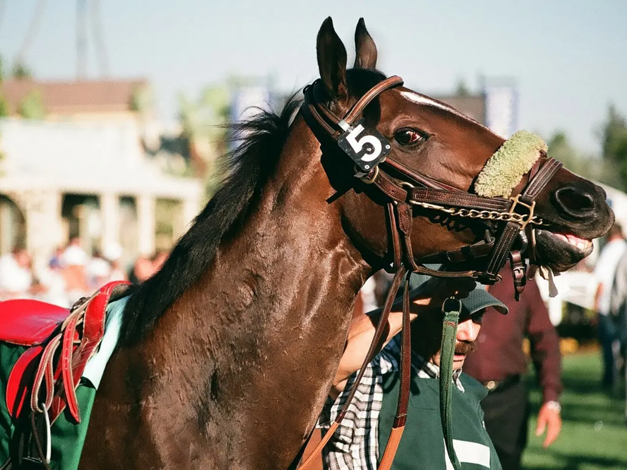 cheval