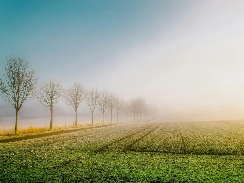 paysage agricole